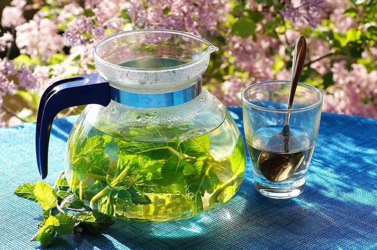 The Health Benefits of Incorporating Green Tea into Your Daily Diets