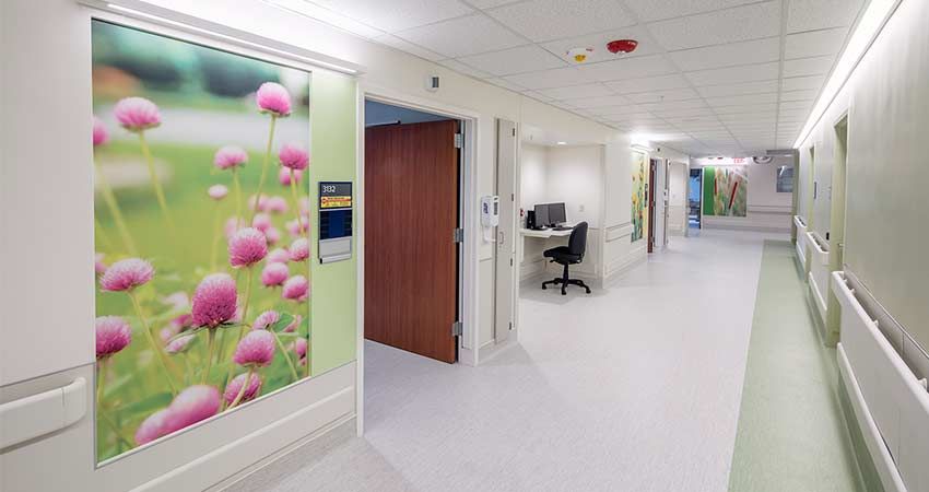 Healthcare Environments Need Wall Protection