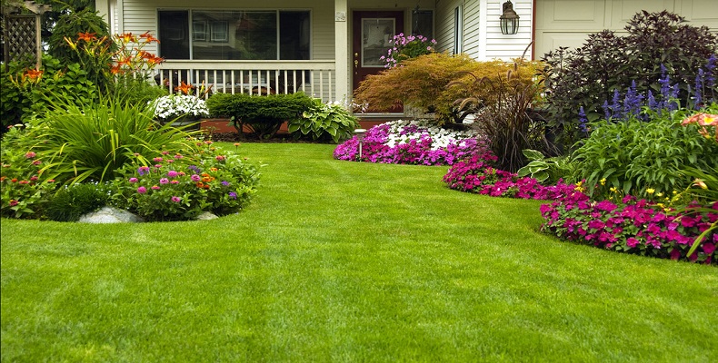 Here's Why Landscaping Is Important for Your Home