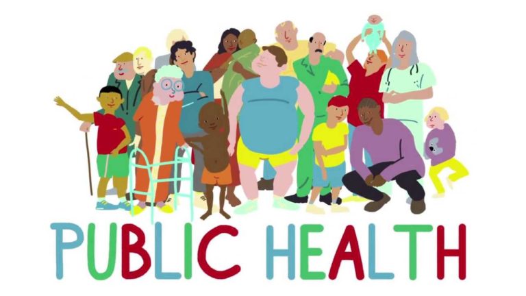 What Do Public Health Professionals Do?