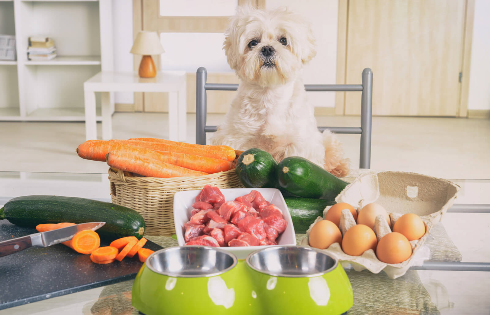 5 Easy Raw Food Recipes for Your Dog