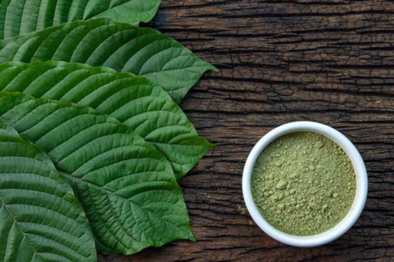 Things to Know Before Buying Kratom Powder Online