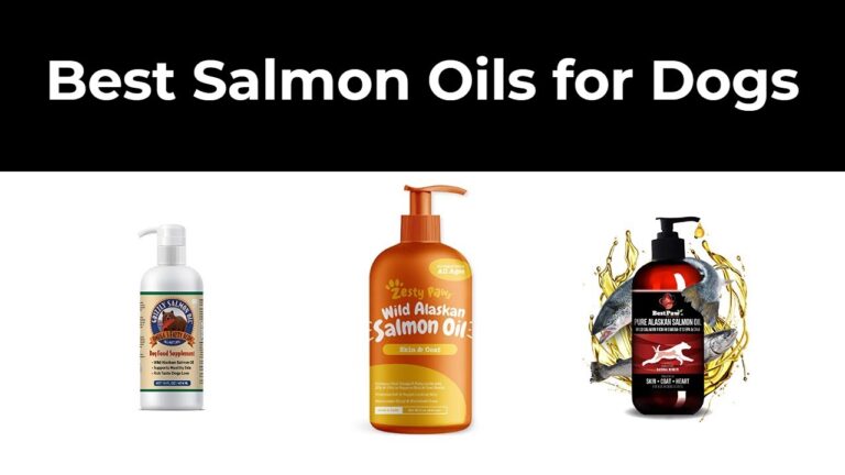 Why salmon oil is the best fish oil for dogs