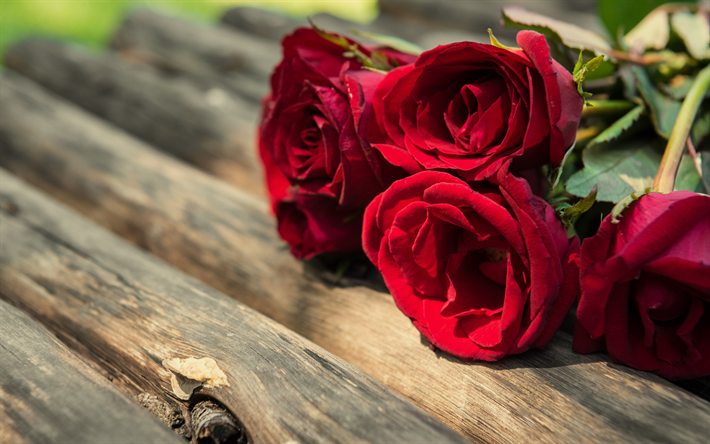 Top 6 romantic flowers to Impress Your love