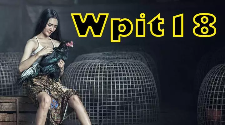 Wpit18.com: Need To Know About WPC And Wpit18 Here