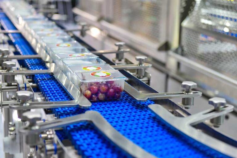 Automated Packaging System: Minimizing Downtime and Enhancing Productivity